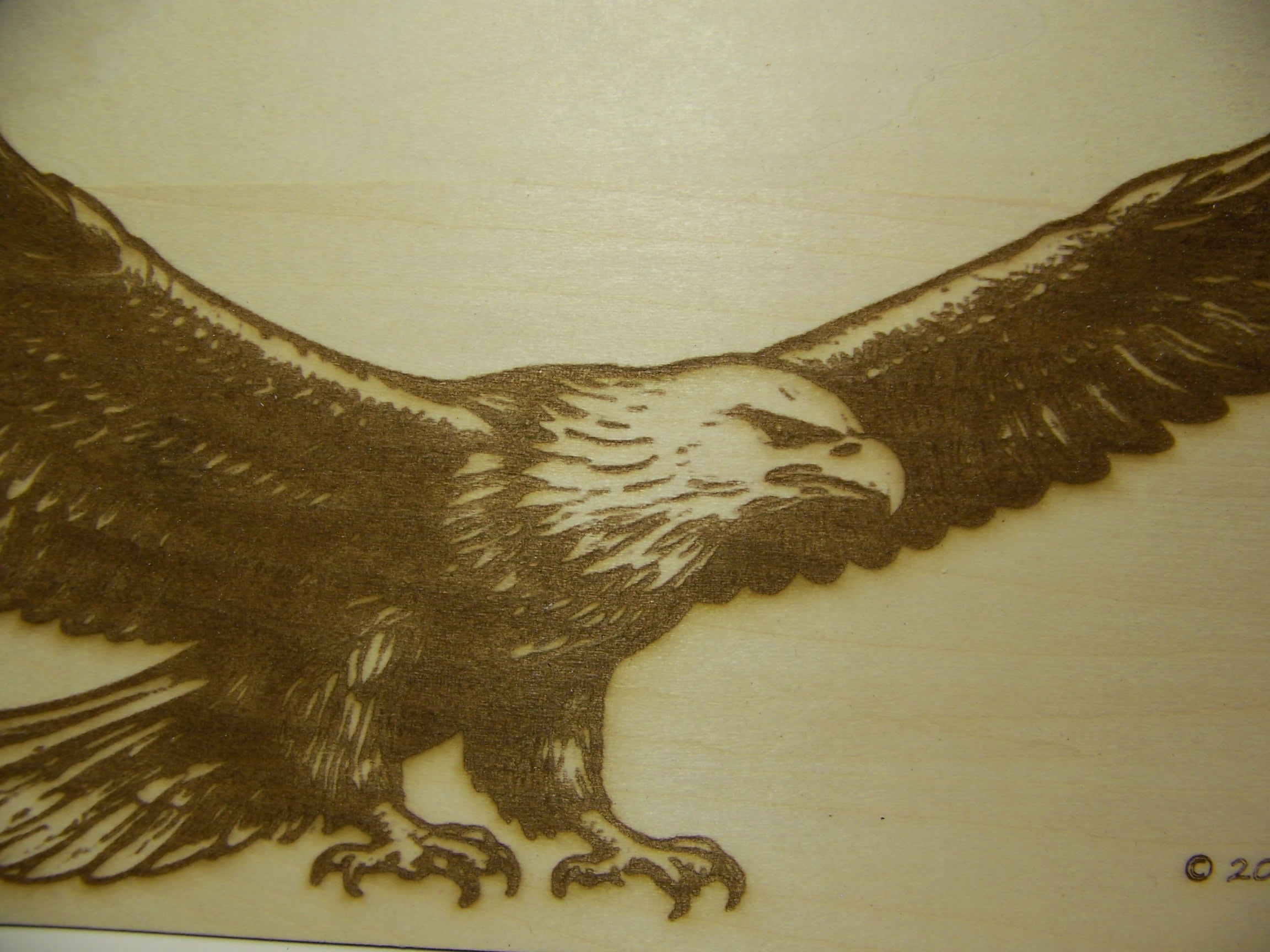 American Bald Eagle In Flight Laser Engraved on Basswood