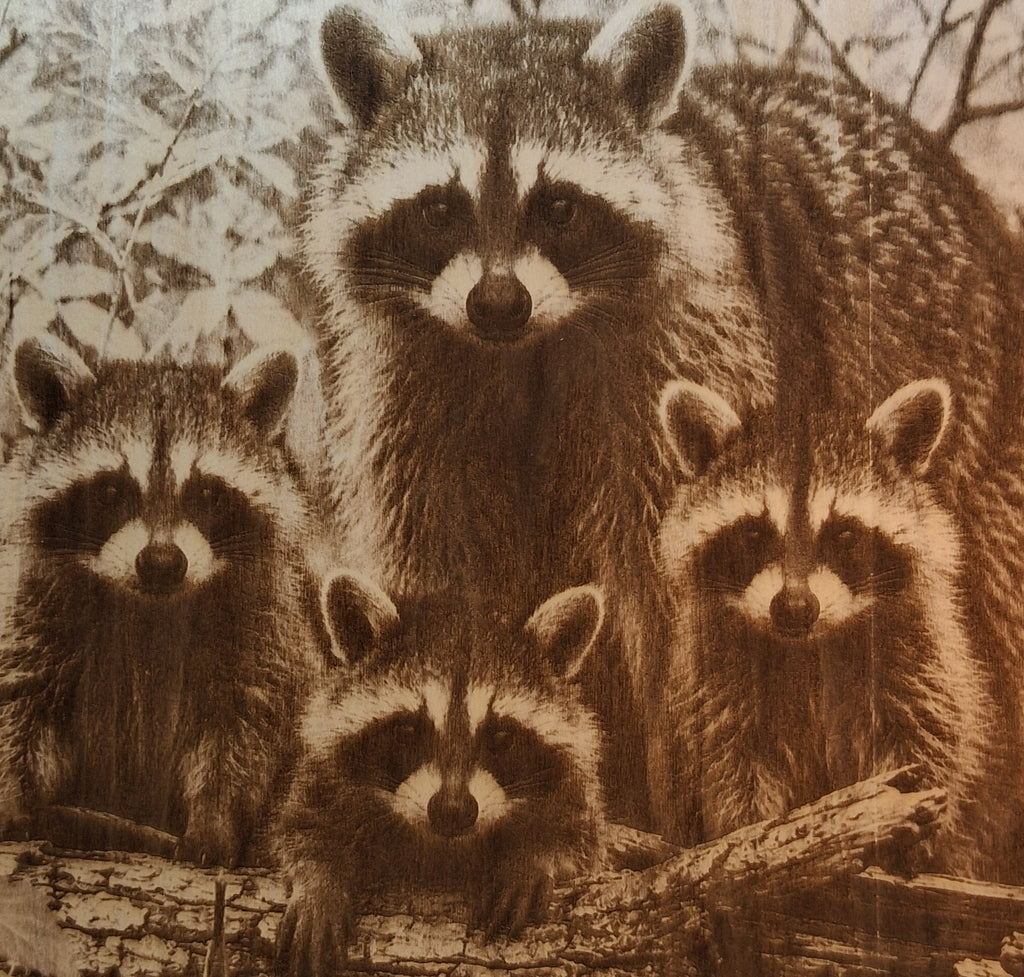 Raccoon Family on Fallen Log Laser Engraving