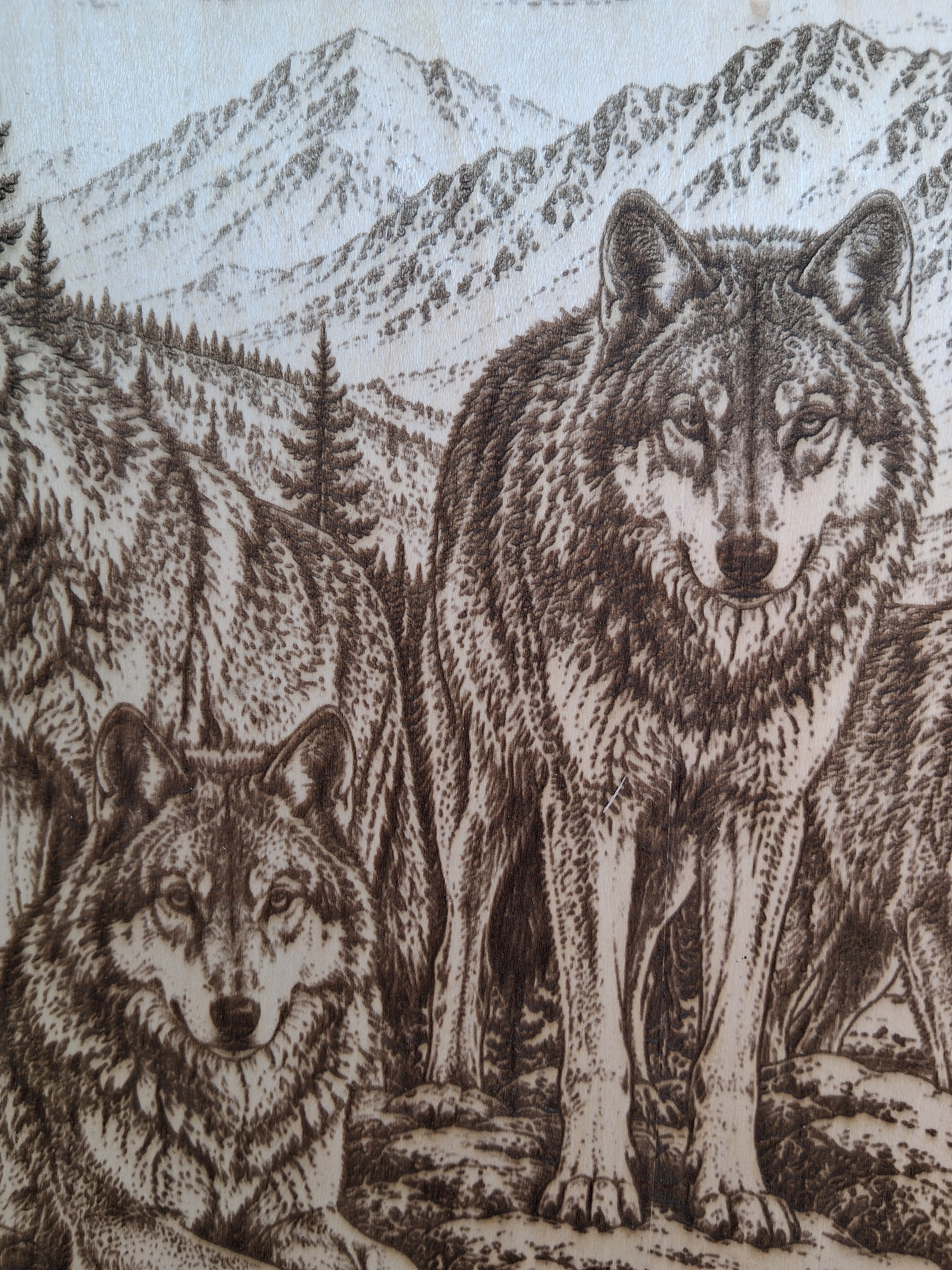 Pack of Wolves In Mountains Laser Engraving