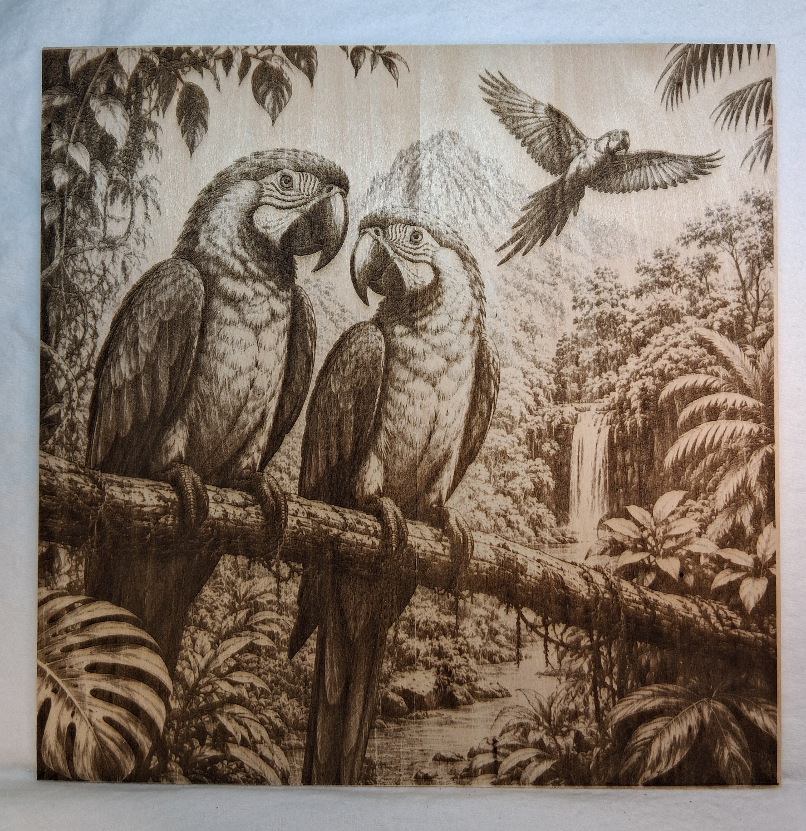 Macaws in the Jungle Laser Engraving
