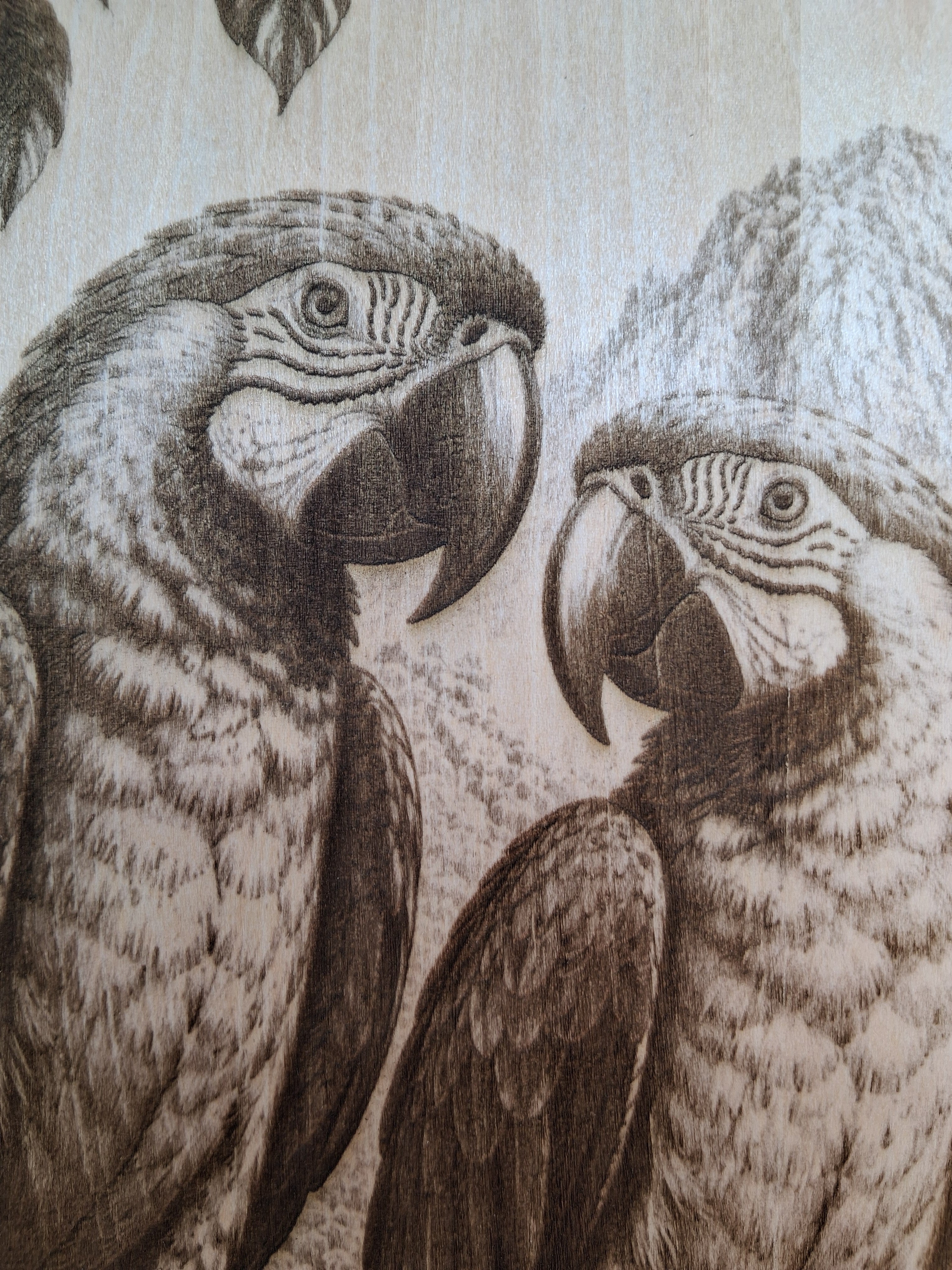 Macaws in the Jungle Laser Engraving