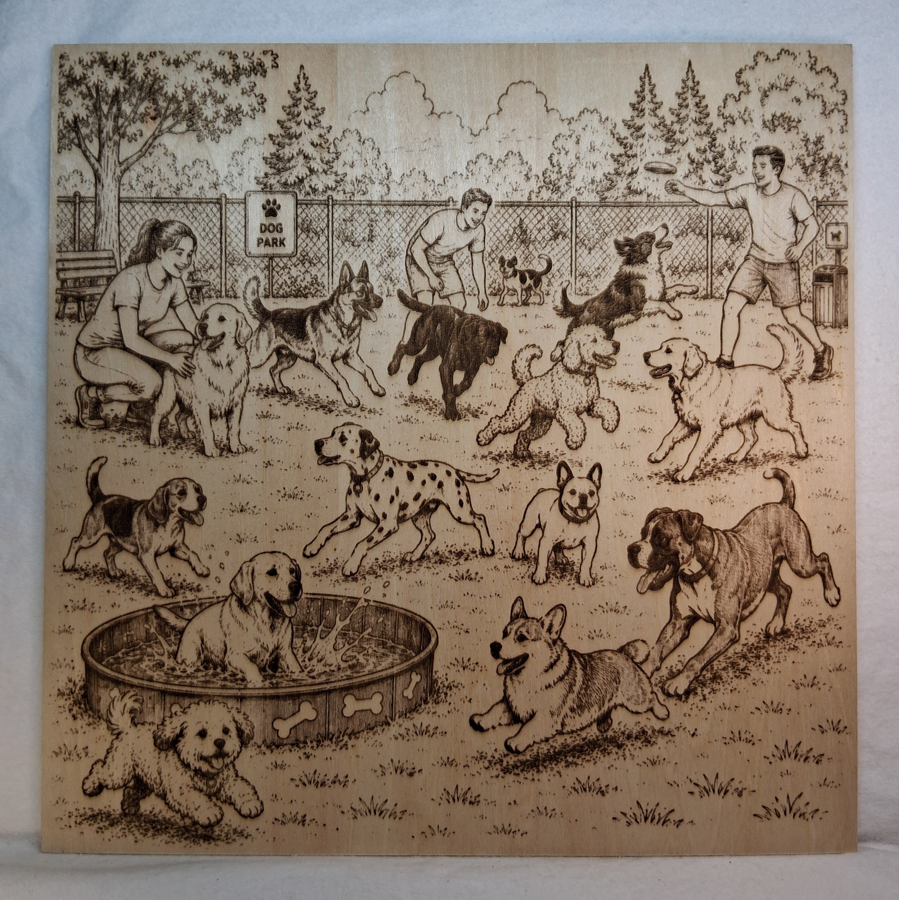 Playful Day at the Dog Park Laser Engraving