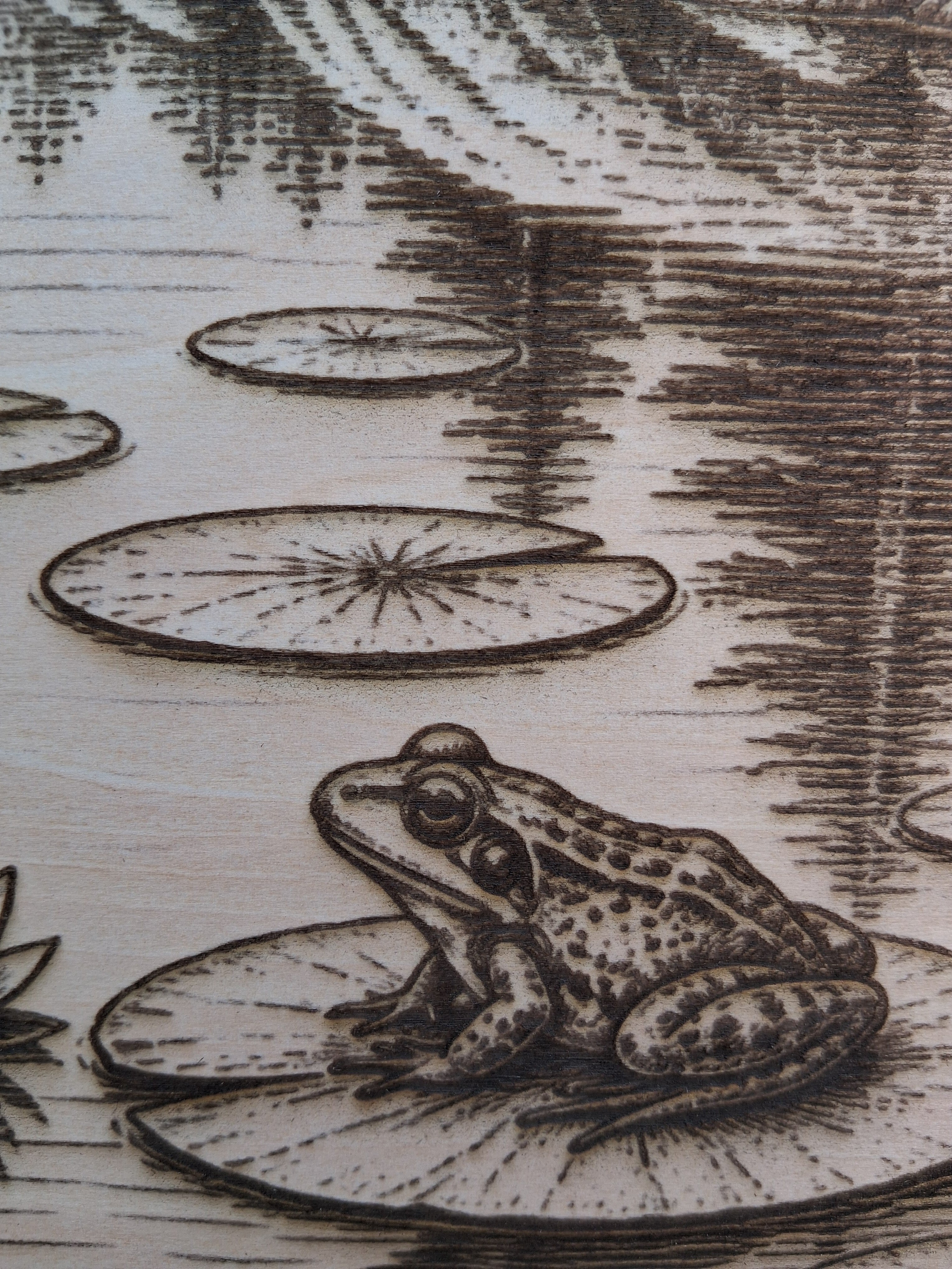 Frogs in a Mountain Pond Laser Engraving