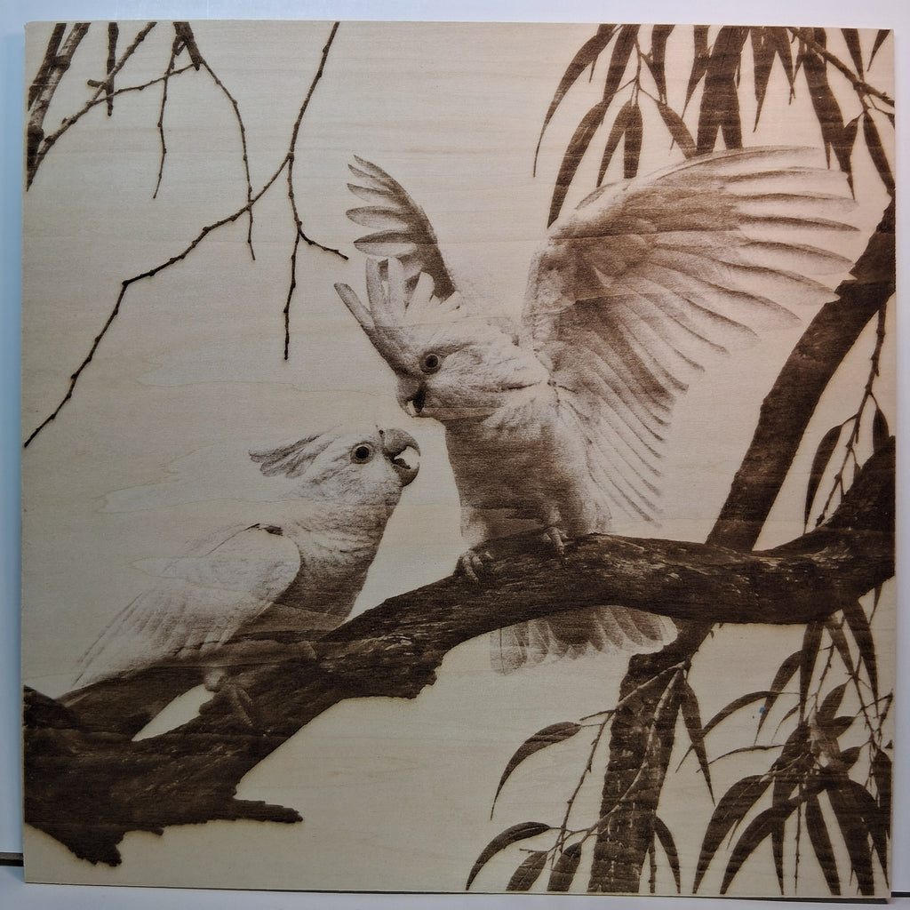 Cockatoos playing on a Branch Laser Engraving