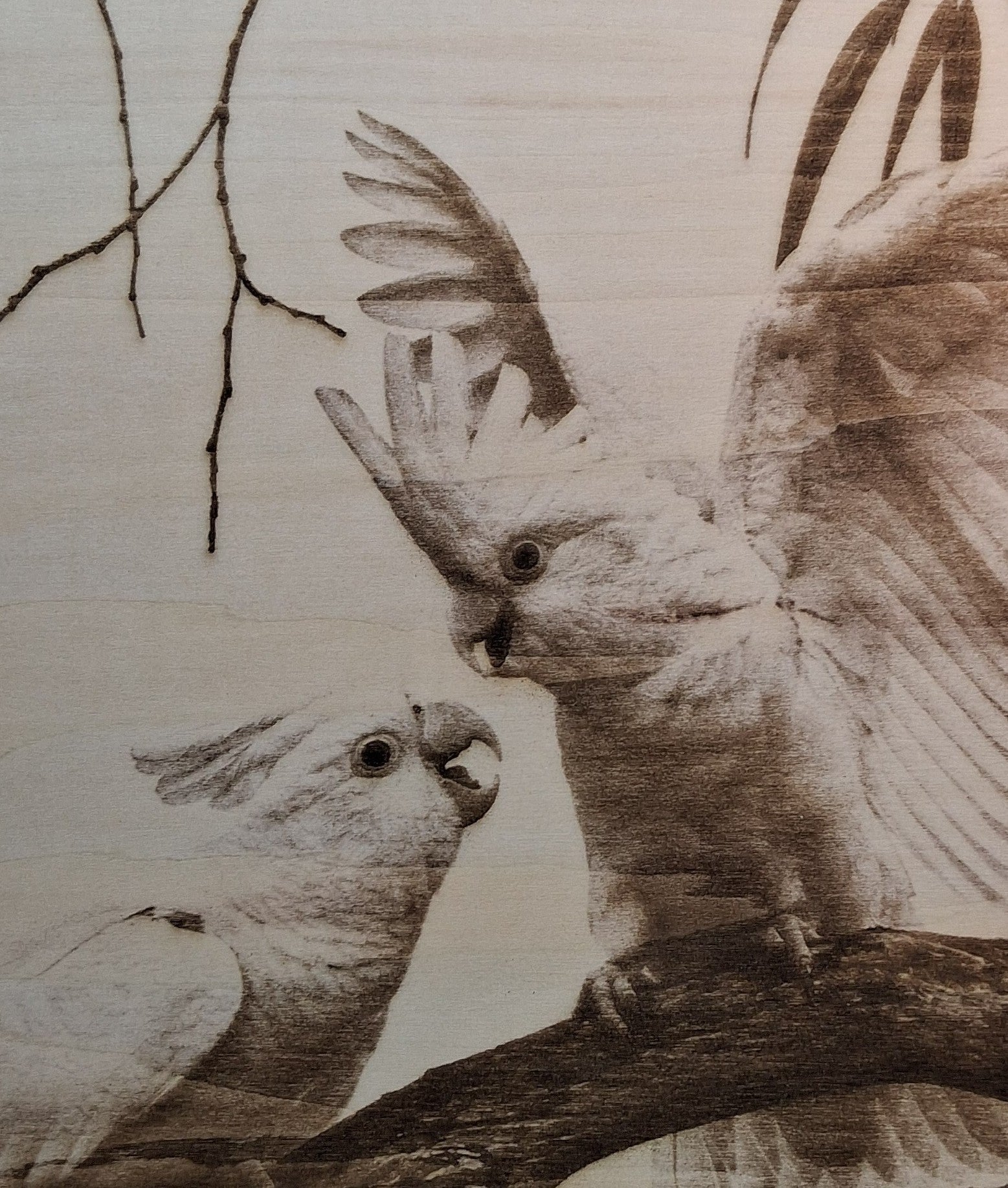 Cockatoos playing on a Branch Laser Engraving