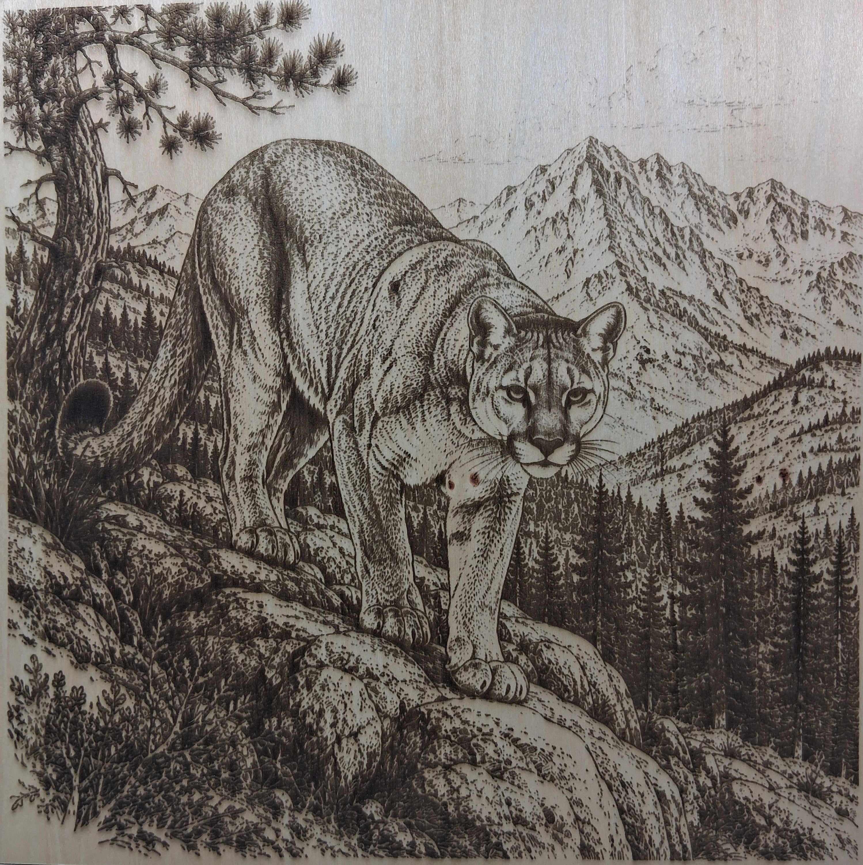 Cougar in the Mountains Laser Engraving