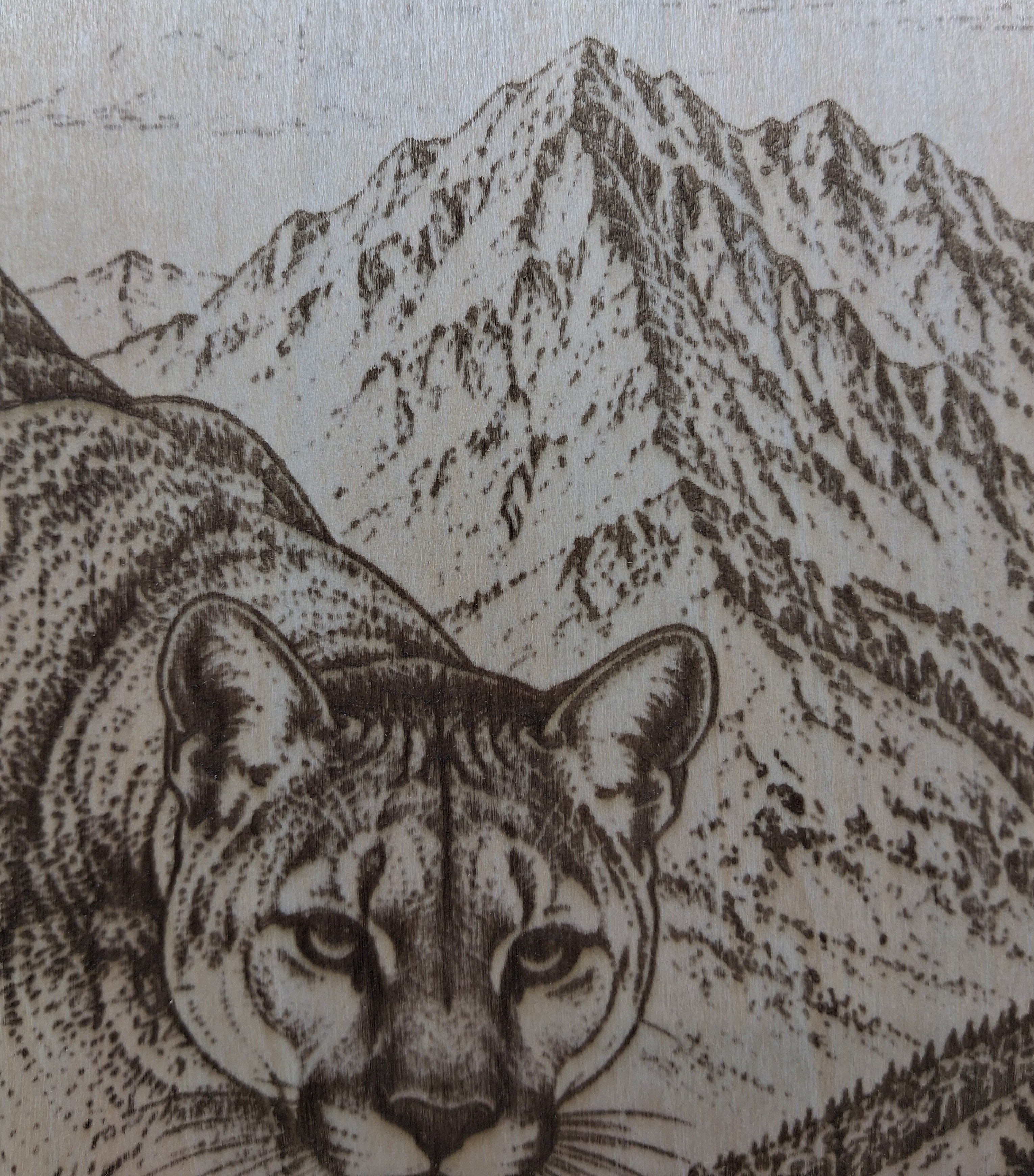 Cougar in the Mountains Laser Engraving