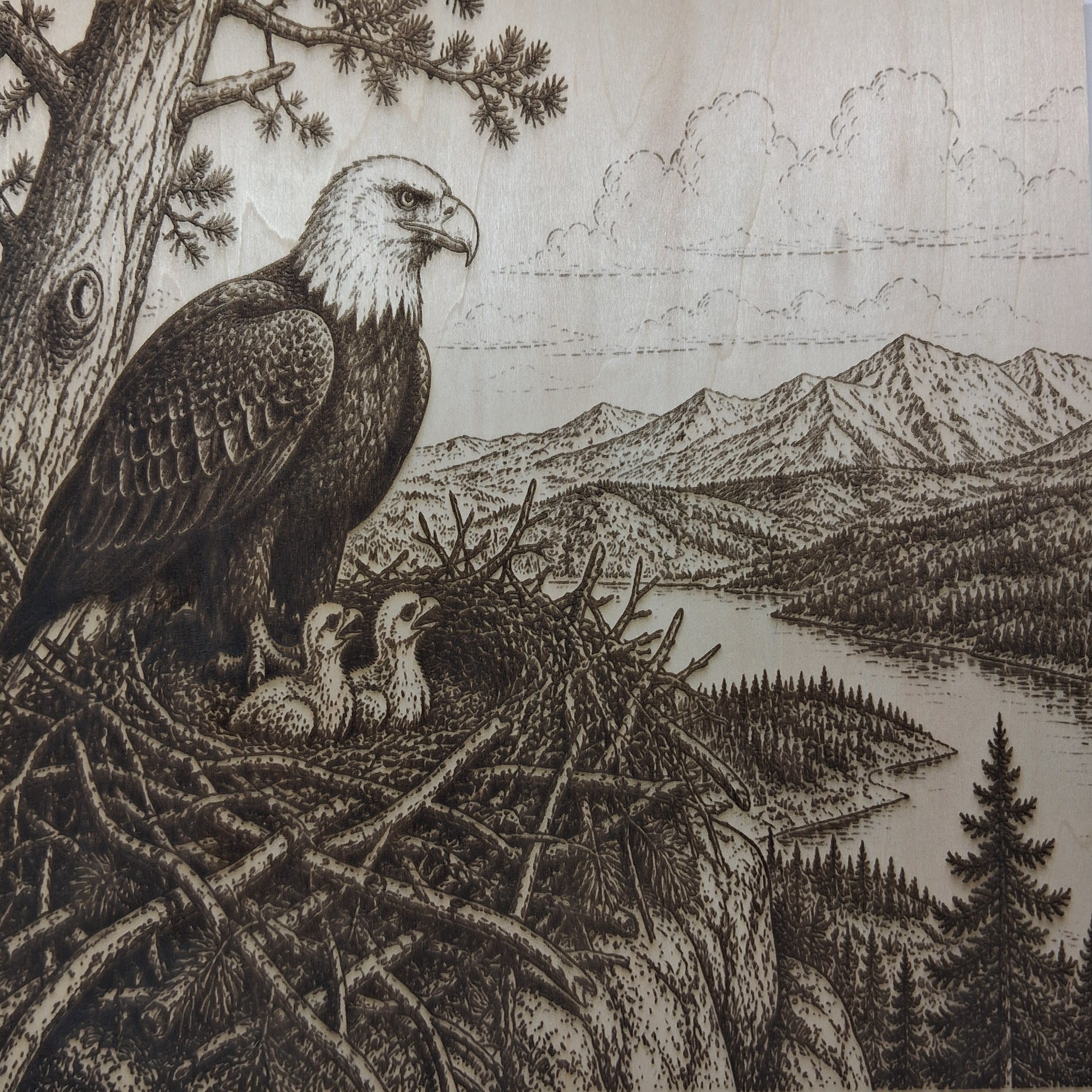 Eagle Watching Over the Nest
