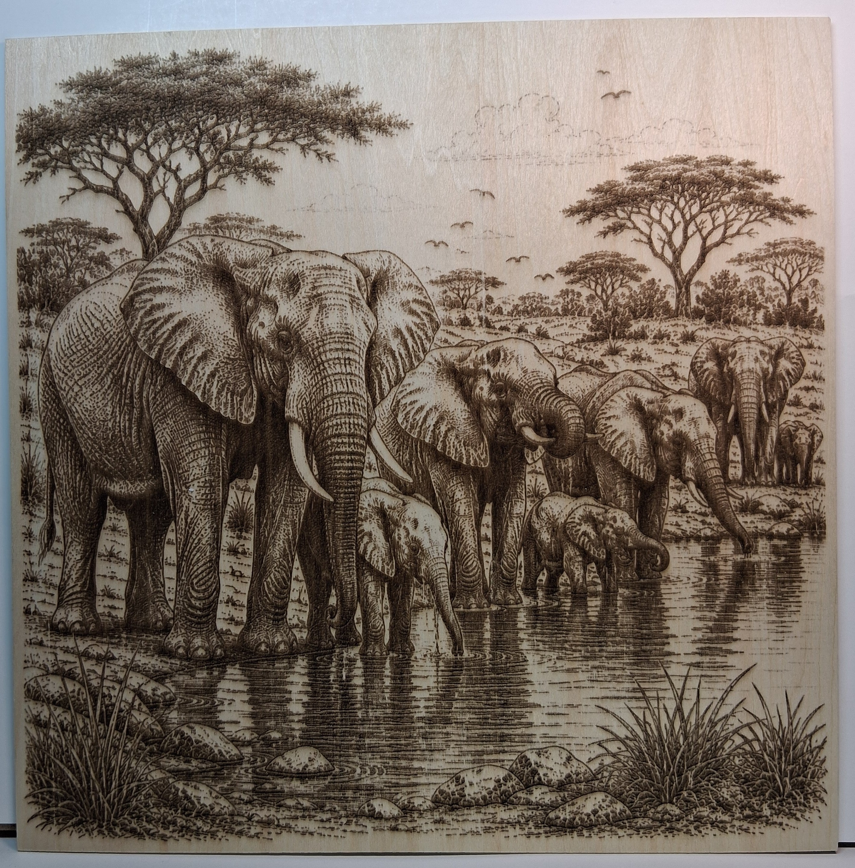 Elephants at the Water Hole Laser Engraving