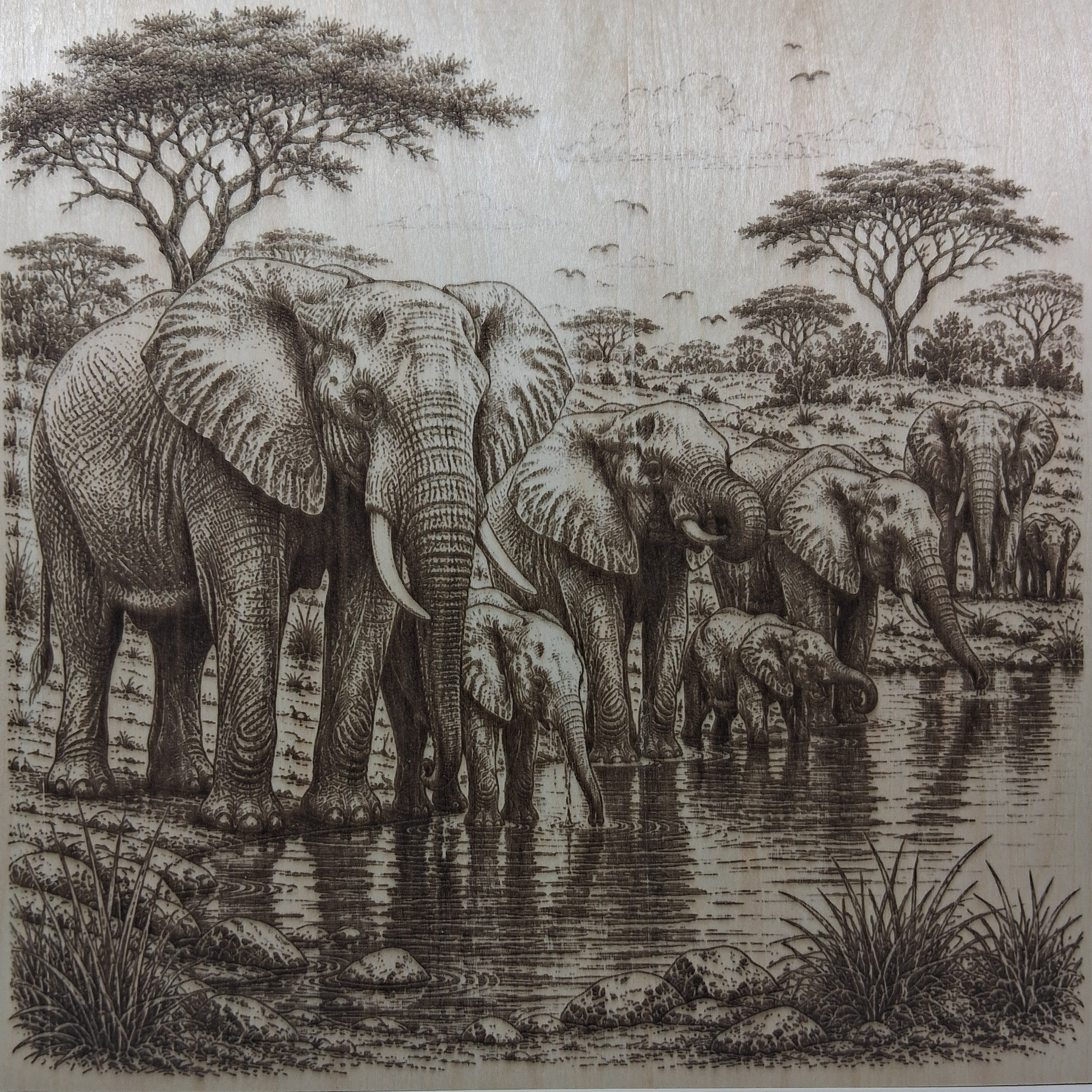 Elephants at the Water Hole Laser Engraving