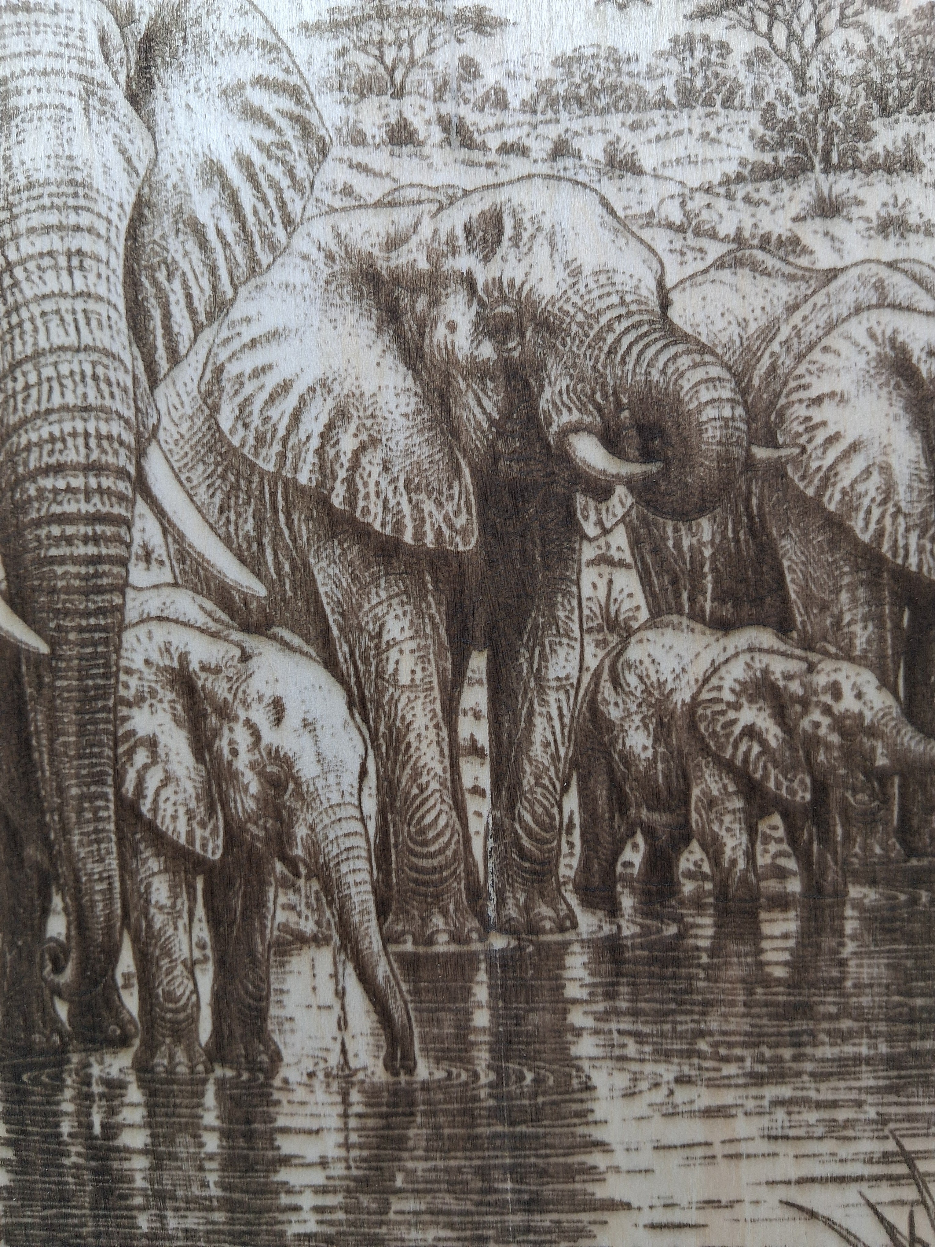 Elephants at the Water Hole Laser Engraving