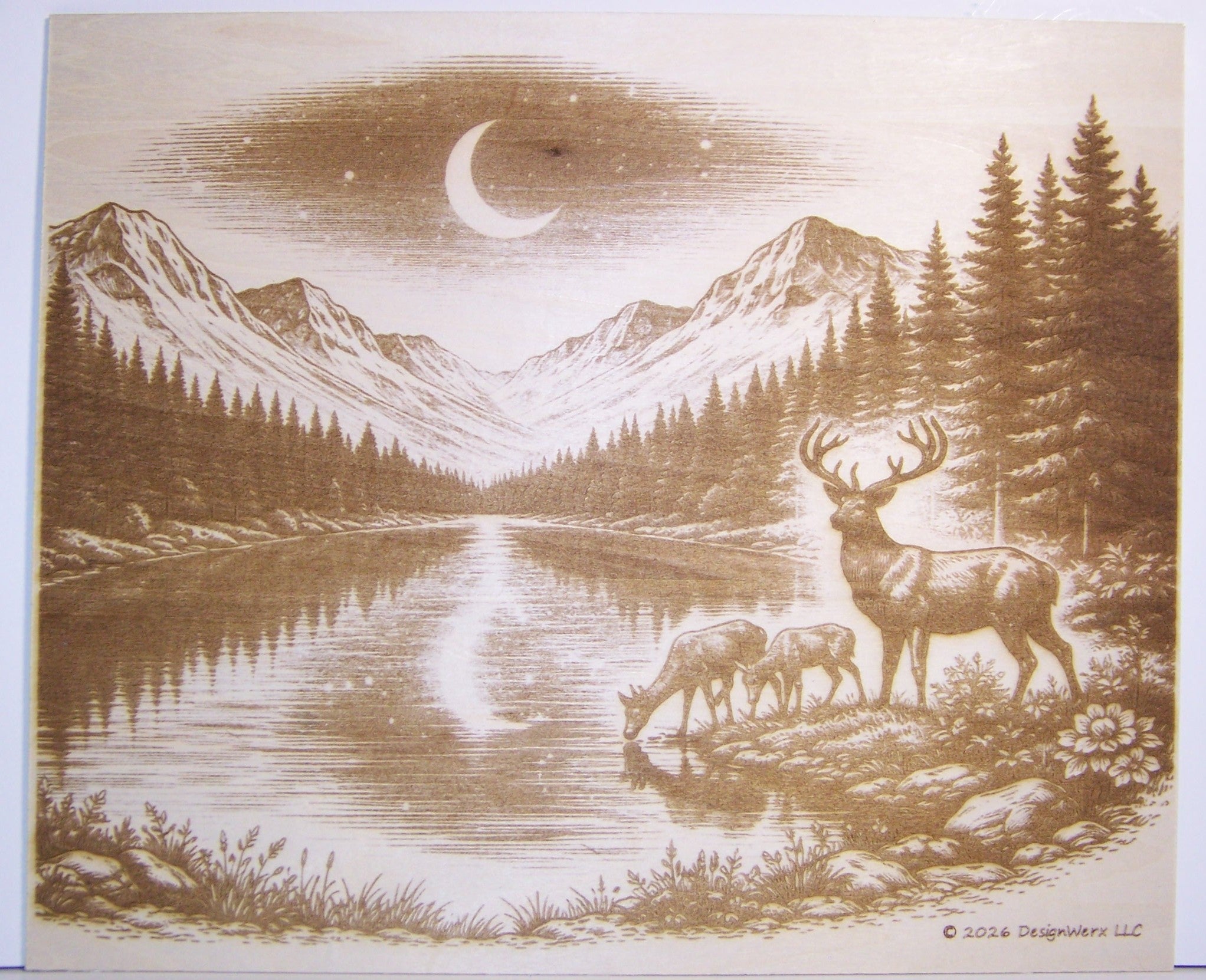 Elk Drinking at the Lake Laser Engraving
