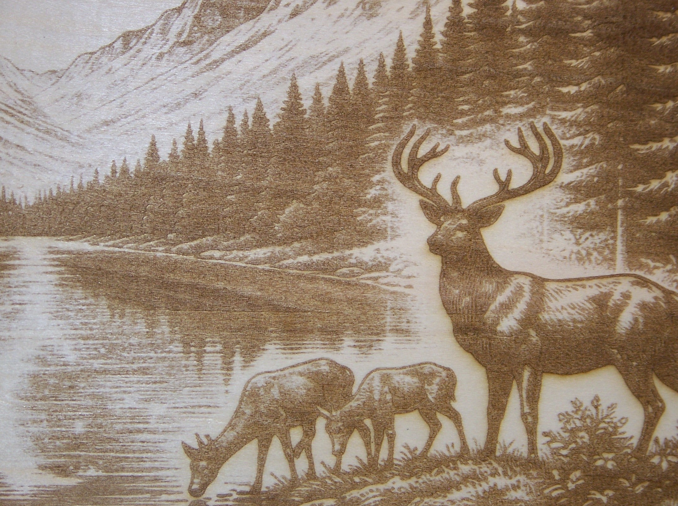 Elk Drinking at the Lake Laser Engraving