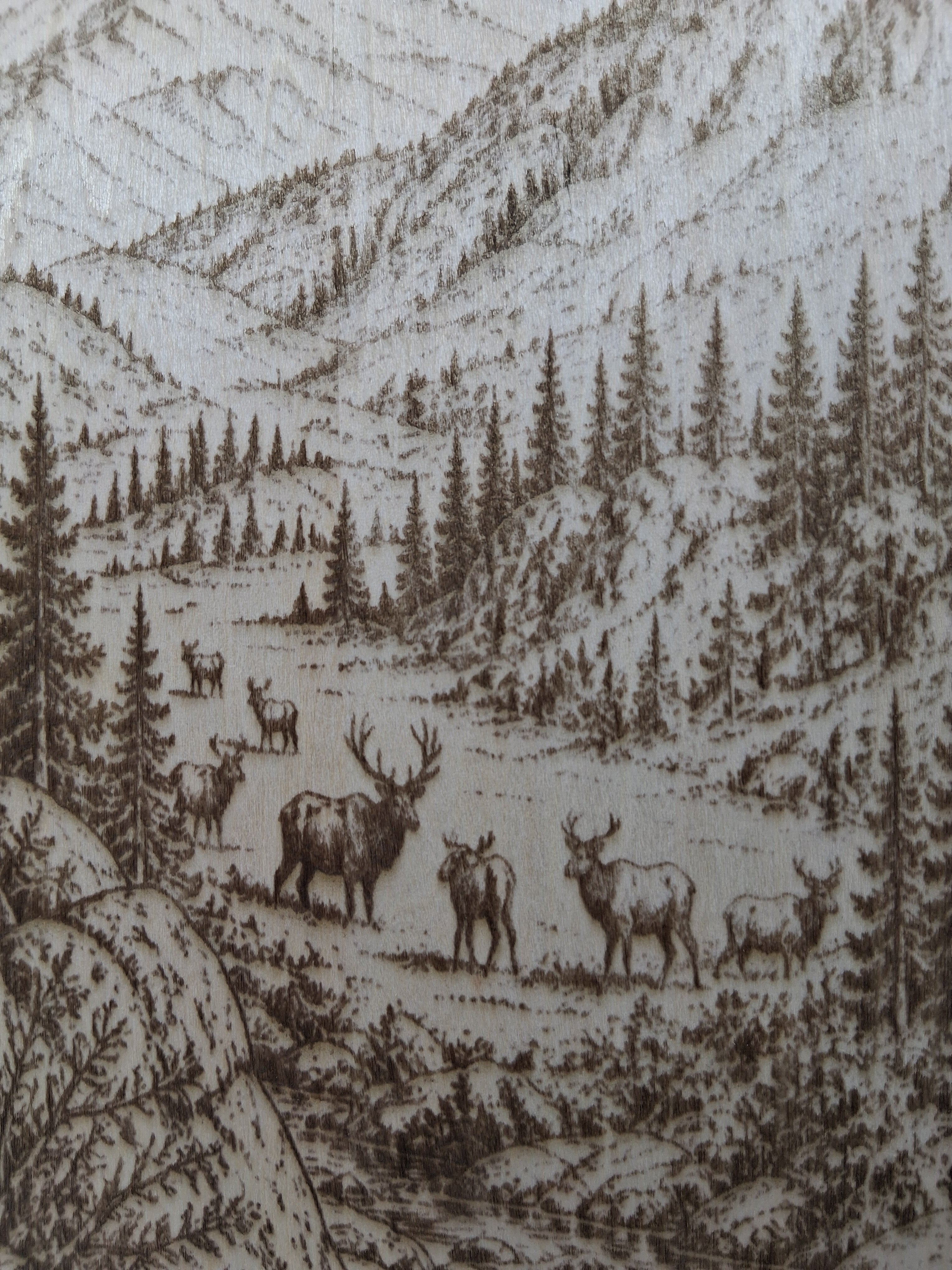 Hunting Elk in the Mountains