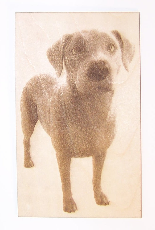 Custom Laser Engraved Pet Photos
