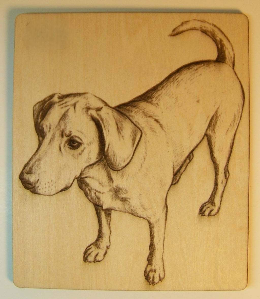 Custom Laser Engraved Pet Photos