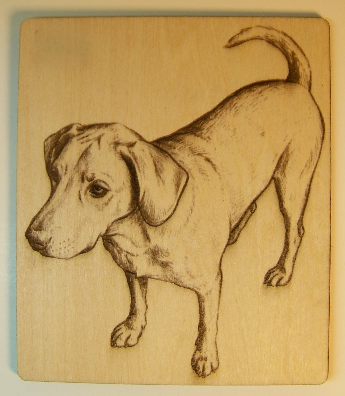 Custom Laser Engraved Pet Photos