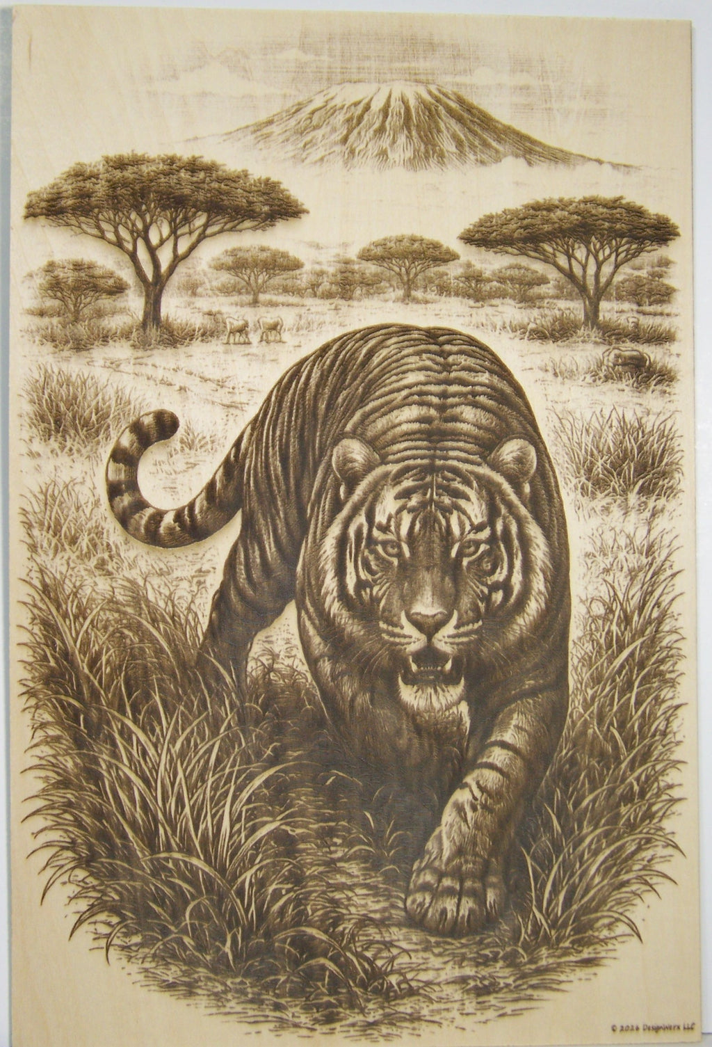 Tiger Stalking the Savanna Laser Engraving