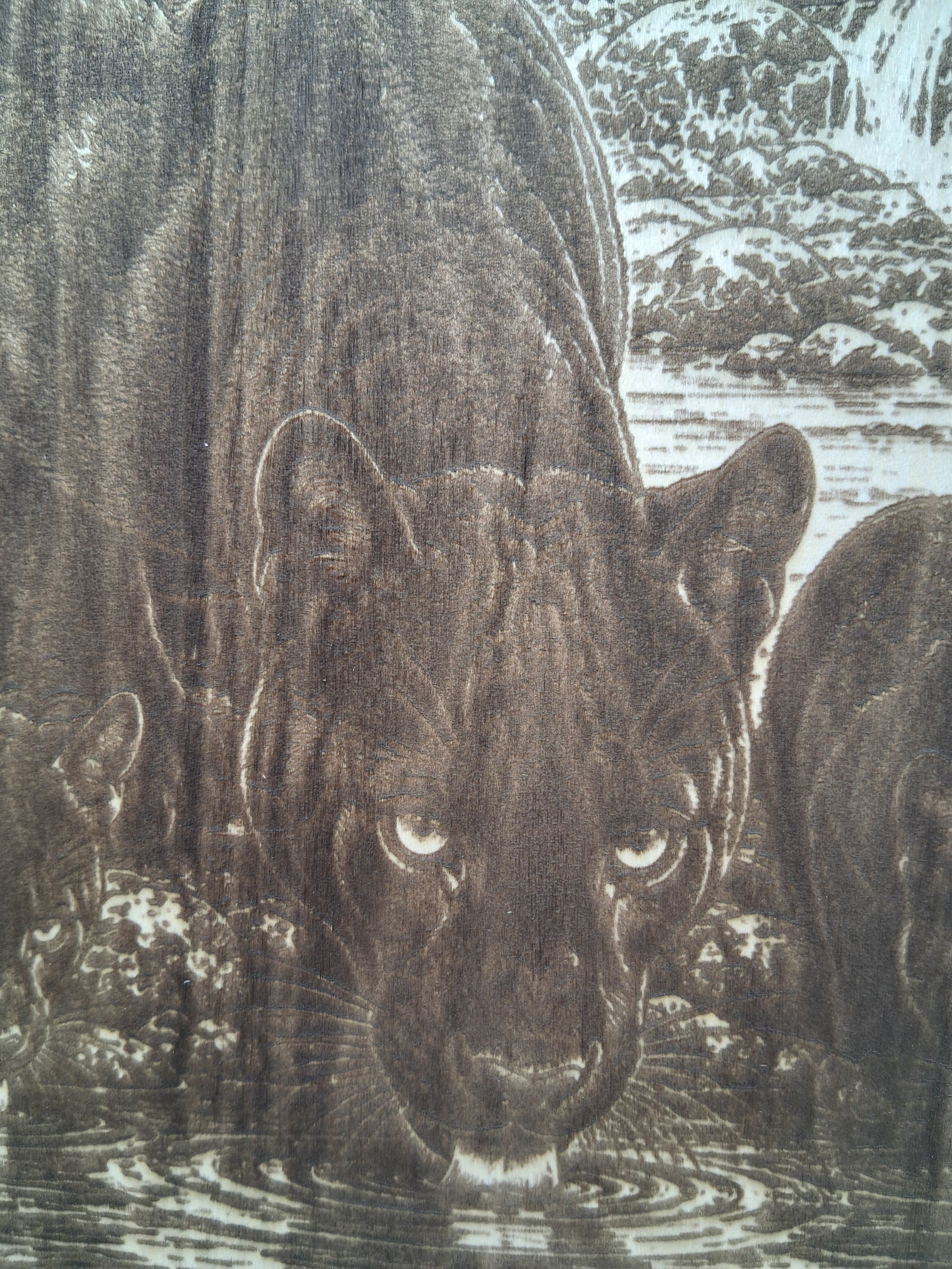 Panther and Cubs Drinking at the Stream Laser Engraving